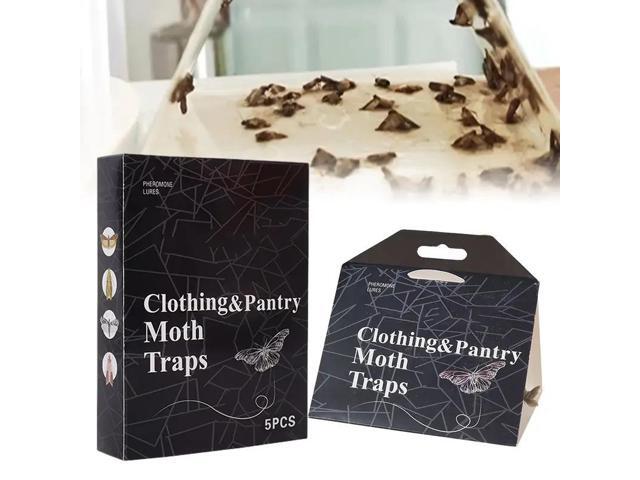 The old model of moth trap stick to moth, moth catcher stick to moth trap, moth stick to moth board