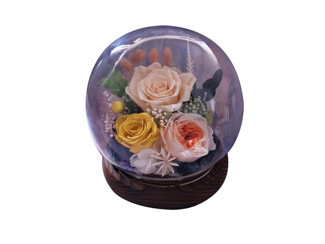 Preserved Flowers in Glass Dome - Romantic Long-Lasting Real Flower Gift for Girlfriend Wife Mom Valentine's Day QIXI Festival Christmas Birthday...