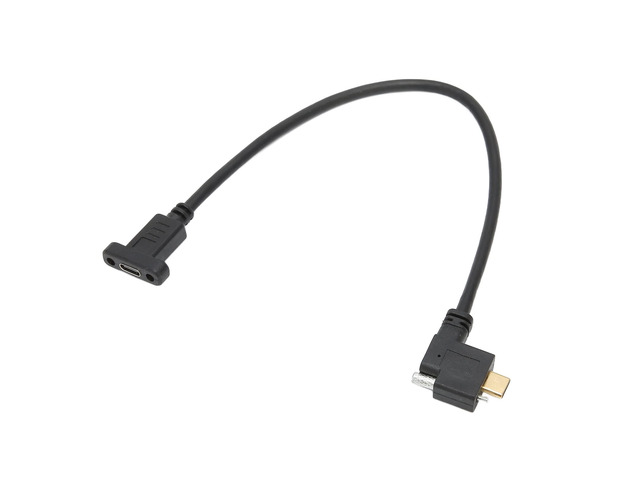 Type C to Type C Cable 10Gbps 5A USB3.1 Data Cable, Gold Plated 16+1 Cores with Screws, 0.3 Meter High Speed Male to Male Charging and Transfer...