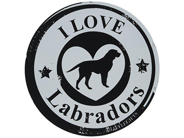 Little Gifts Labrador Circle Car Magnet