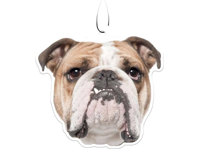 Spoontiques Bulldog Air Freshener (3-Pack)