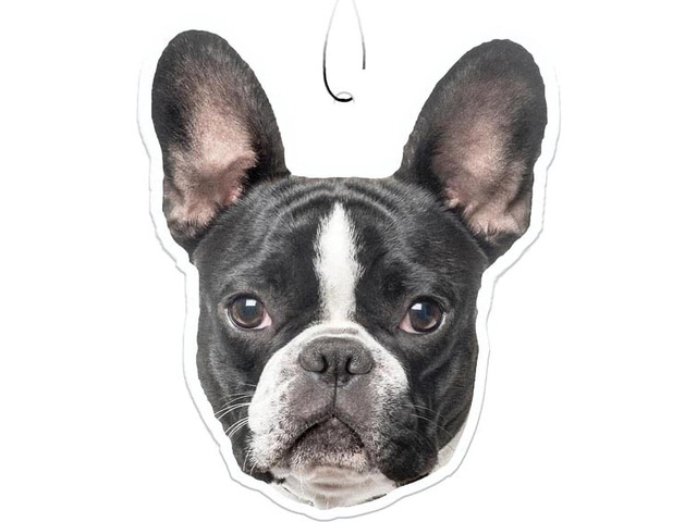 Spoontiques French Bulldog Air Freshener (3-Pack)