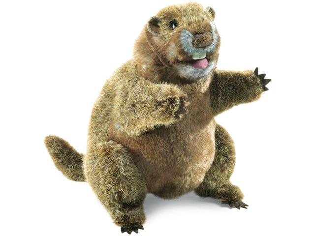 Folkmanis Groundhog Puppet, 14'