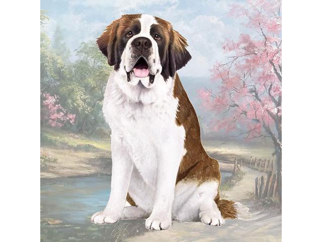 St. Bernard Tabletop Drink Coaster (1)