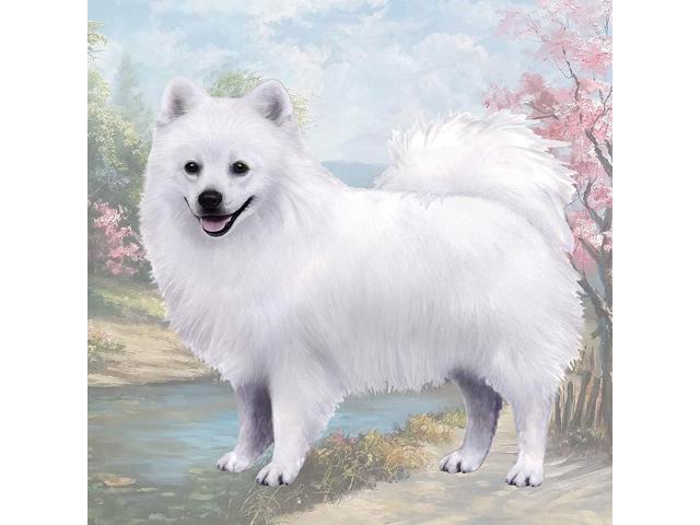 American Eskimo Dog Tabletop Drink Coaster (1)