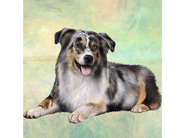 Australian Shepherd Tabletop Drink Coaster (1)