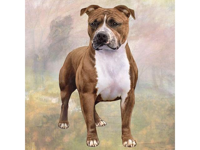 Pit Bull (Standing) Tabletop Drink Coaster (1)