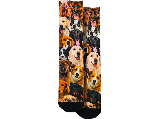 Spoontiques Fun Crew Socks, One Size Fits Most - Dogs
