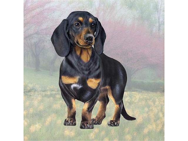 Dachshund (Black & Tan Standing) Tabletop Drink Coaster (1)