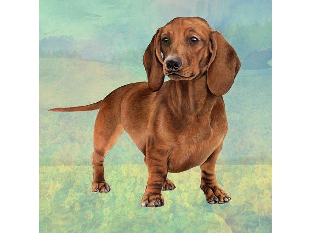 Dachshund (Red Standing) Tabletop Drink Coaster (1)