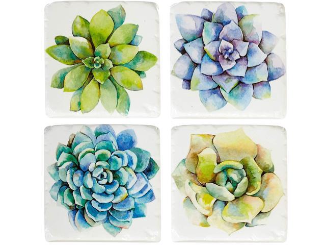 Midwest-CBK Succulent Plants Cactus Drink Coasters Set of 4, Resin
