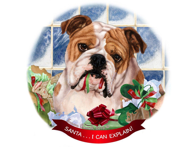 English Bulldog, Tan & White Dog Porcelain Ornament Santa I Can Explain!