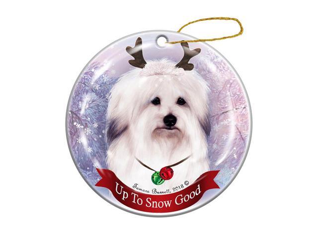 Holiday Pet Gifts Coton de Tulear Dog Porcelain Christmas Ornament