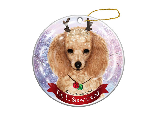 Holiday Pet Gifts Apricot Poodle Dog Porcelain Christmas Ornament