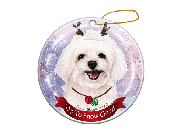 Holiday Pet Gifts Maltipoo Reindeer Dog Porcelain Christmas Ornament