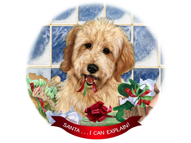 Goldendoodle Dog Porcelain Hanging Ornament Pet Gift Santa I Can Explain!