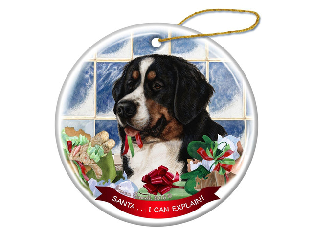 Bernese Mountain Dog Porcelain Hanging Ornament Pet Santa I Can Explain!