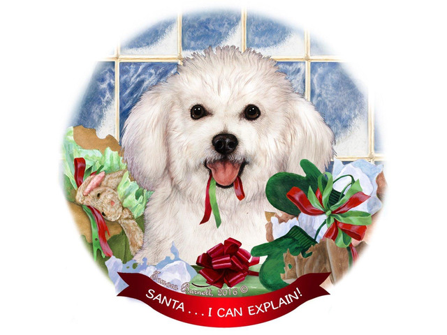 Bichon Frise Dog Porcelain Hanging Ornament Pet Gift Santa I Can Explain!