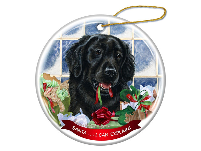 Flat Coated Retriever Dog Porcelain Ornament Pet Gift Santa I Can Explain!