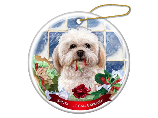 Shihpoo Dog Porcelain Hanging Ornament Pet Gift 'Santa.. I Can Explain!'