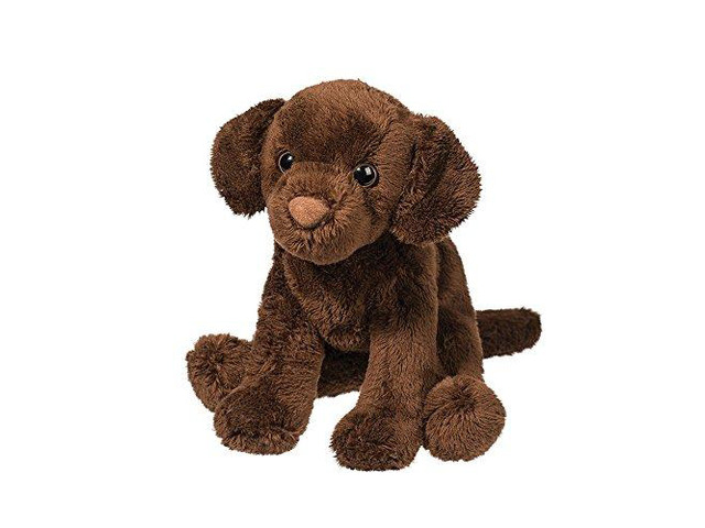 Douglas Finn Chocolate Lab 5'