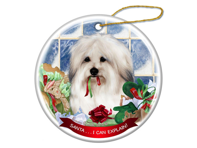 Coton de Tulear Dog Porcelain Hanging Ornament Pet Gift 'I Can Explain!'