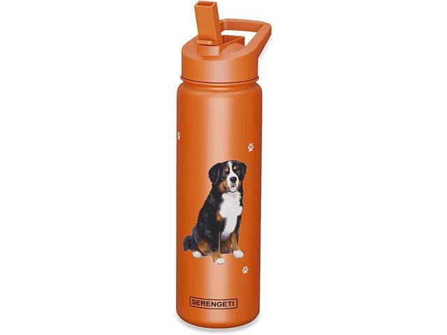 E & S Pets Stainless Steel Water Bottle 24 Oz., Spill Proof (Bernese Mountain Dog)