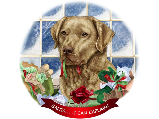 Chesapeake Bay Retriever Dead Grass Porcelain Ornament 'I Can Explain!'