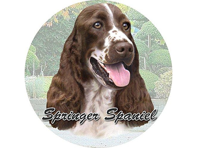 ES Pets Absorbent Stoneware Car Cup Holder Coaster, Springer Spaniel