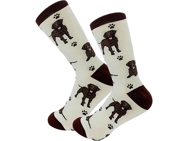 Happy Tails Chocolate Labrador Dog Lover Colored Socks - One Size Fits Most