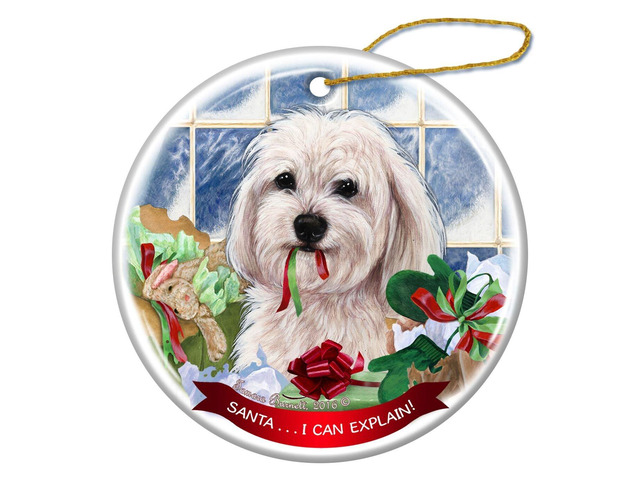 White Havanese Dog Porcelain Hanging Ornament Pet Gift 'Santa.. I Can Explain!'