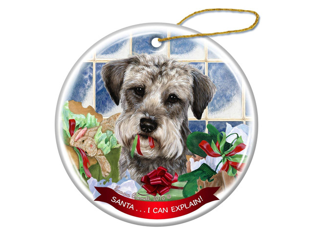 Schnoodle Dog Porcelain Hanging Ornament Pet Gift 'Santa.. I Can Explain!'