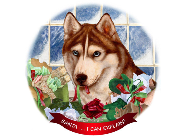 Siberian Husky, Red & White Dog Porcelain Ornament 'Santa.. I Can Explain!'