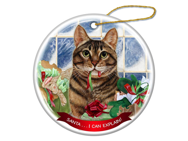 Brown Tabby Cat Porcelain Hanging Ornament Pet Gift 'Santa.. I Can Explain!'