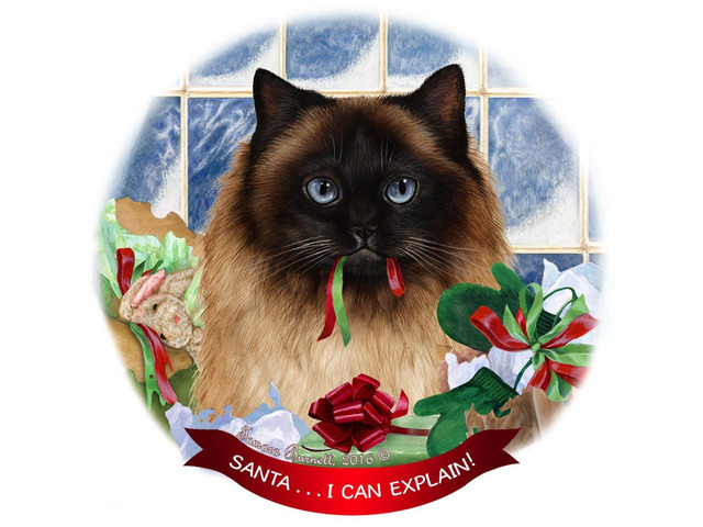 Himalayan Cat Porcelain Hanging Ornament Pet Gift 'Santa.. I Can Explain!'