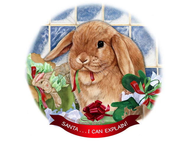 Mini Lop Rabbit Porcelain Hanging Ornament Pet Gift 'Santa.. I Can Explain!'