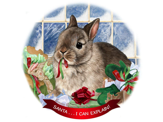 Netherland Dwarf Rabbit Porcelain Ornament Pet Gift 'Santa.. I Can Explain!