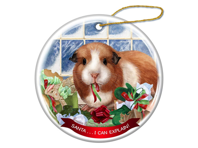 Guinea Pig Porcelain Hanging Ornament Pet Gift 'Santa.. I Can Explain!'