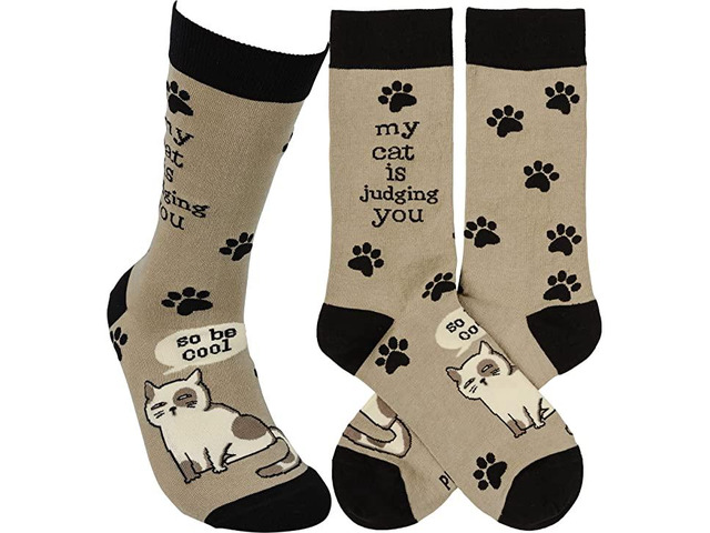 Primitives by Kathy Socks - My Cat Is Judging You