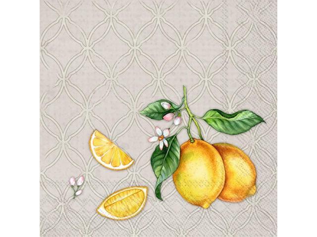 Boston International 5 x 5 in. Paper Cocktail Napkin Citrons Grey - Pack of 20
