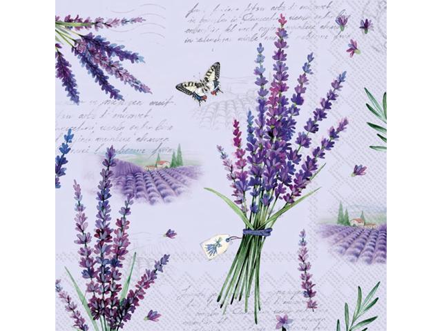 Boston International 5 x 5 in. Paper Cocktail Napkin Viola - Pack of 20