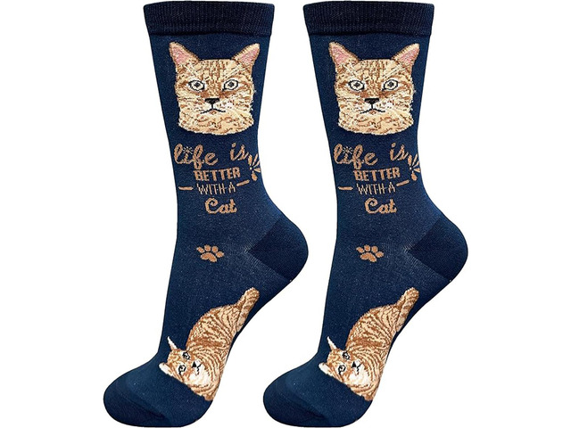 E & S Pets Pet Lover Socks, Life is Better with a Orange Tabby Cat