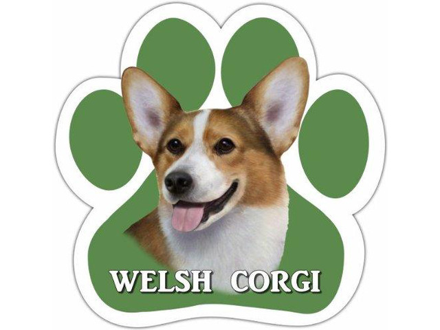 Welsh Corgi Car Magnet With Unique Paw Shaped Design Measures 5.2 x 5.2 Inches