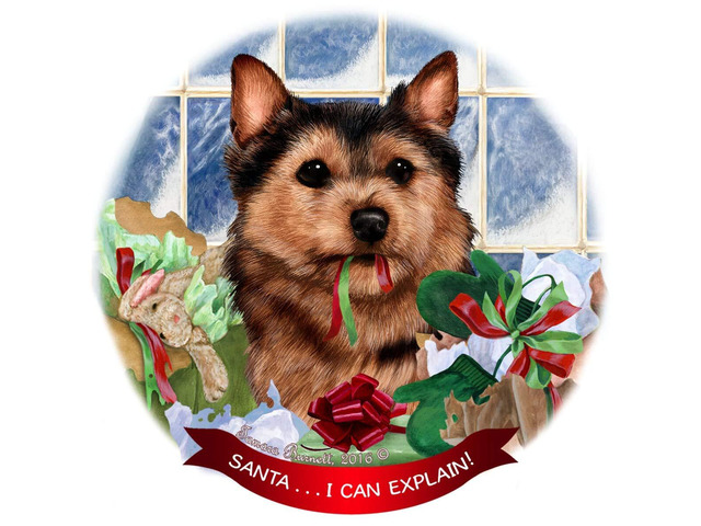 Norwich Terrier Black/Tan Dog Porcelain Ornament 'Santa. I Can Explain!'