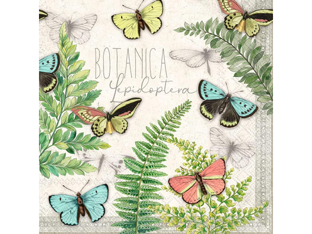 Boston International 5x5 in. Paper Cocktail Napkin Farfalle Cream - Pack of 20