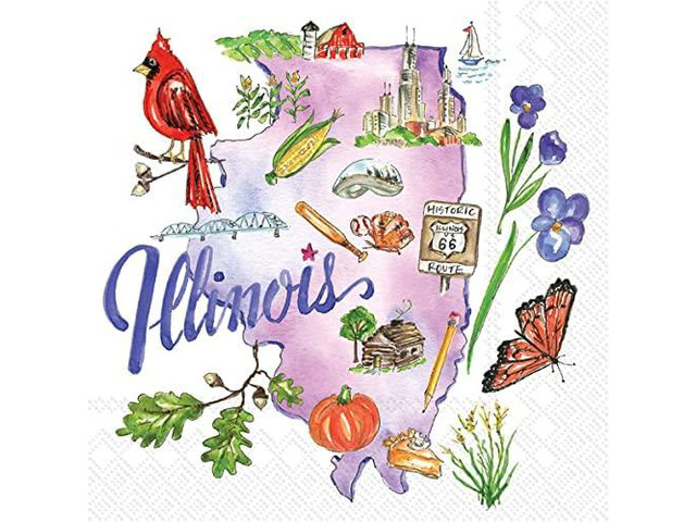Boston International Rosanne Beck 3-Ply Paper Napkins, 20-Count Cocktail Size, Illinois
