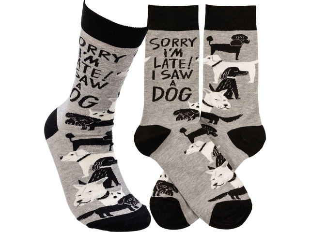 Primitives by Kathy 113092 Sorry I'm Late I Saw a Dog Socks