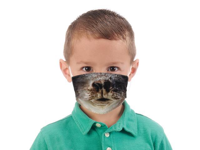 Wildlife Artists Fun Youth Animal Face Masks, Washable, Reusable - Harbor Seal