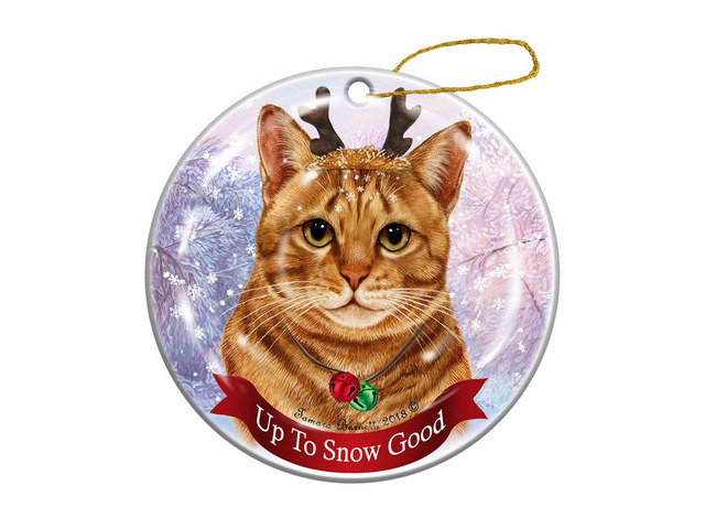 Holiday Pet Gifts Orange Tabby Cat Porcelain Christmas Ornament