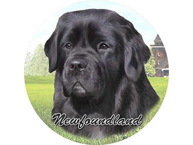 ES Pets Absorbent Stoneware Car Cup Holder Coaster, Newfoundland